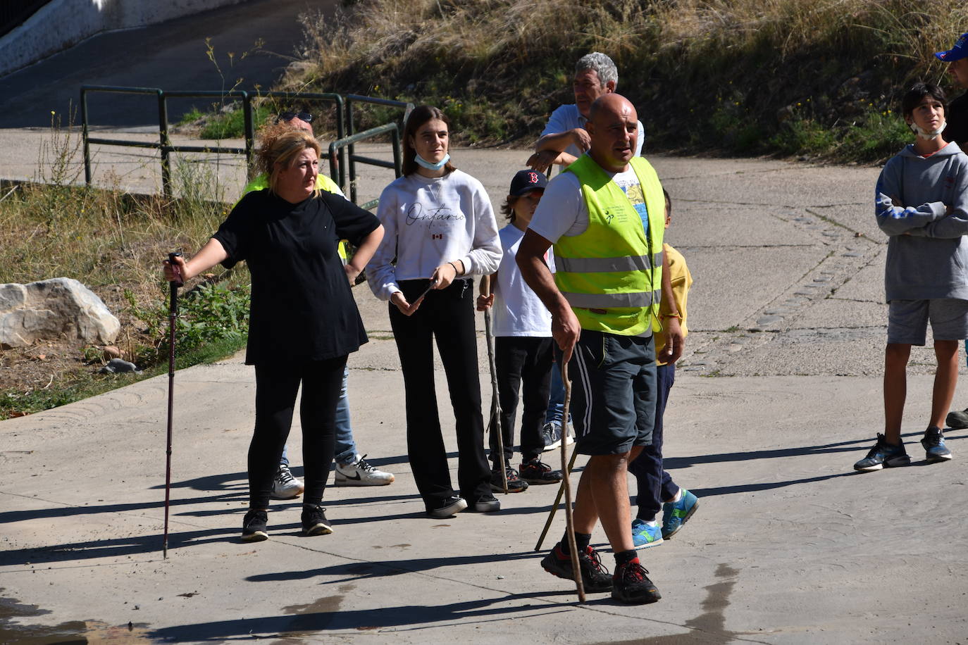 Fotos: La trashumancia se celebra en Rincón de Olivedo
