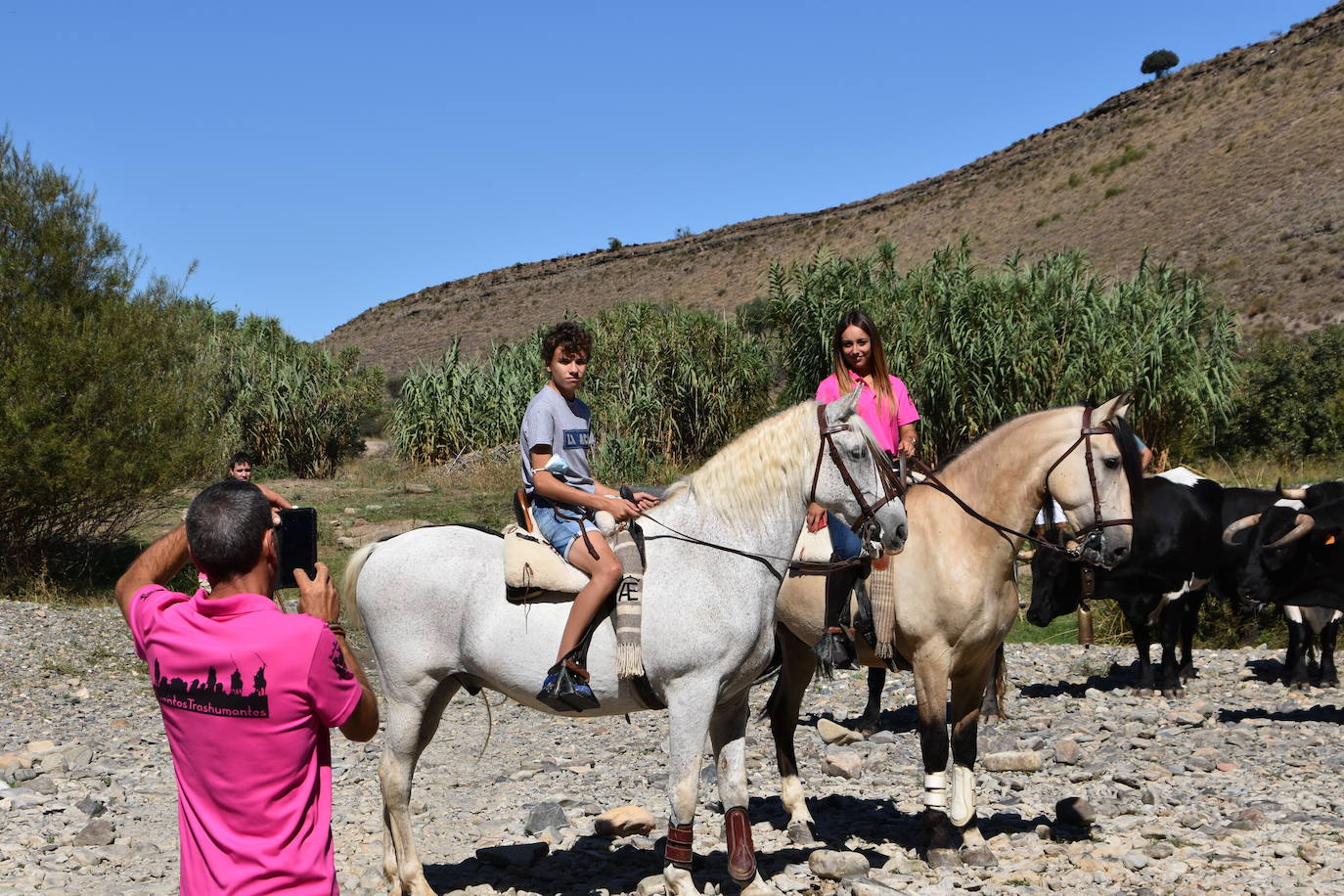 Fotos: La trashumancia se celebra en Rincón de Olivedo