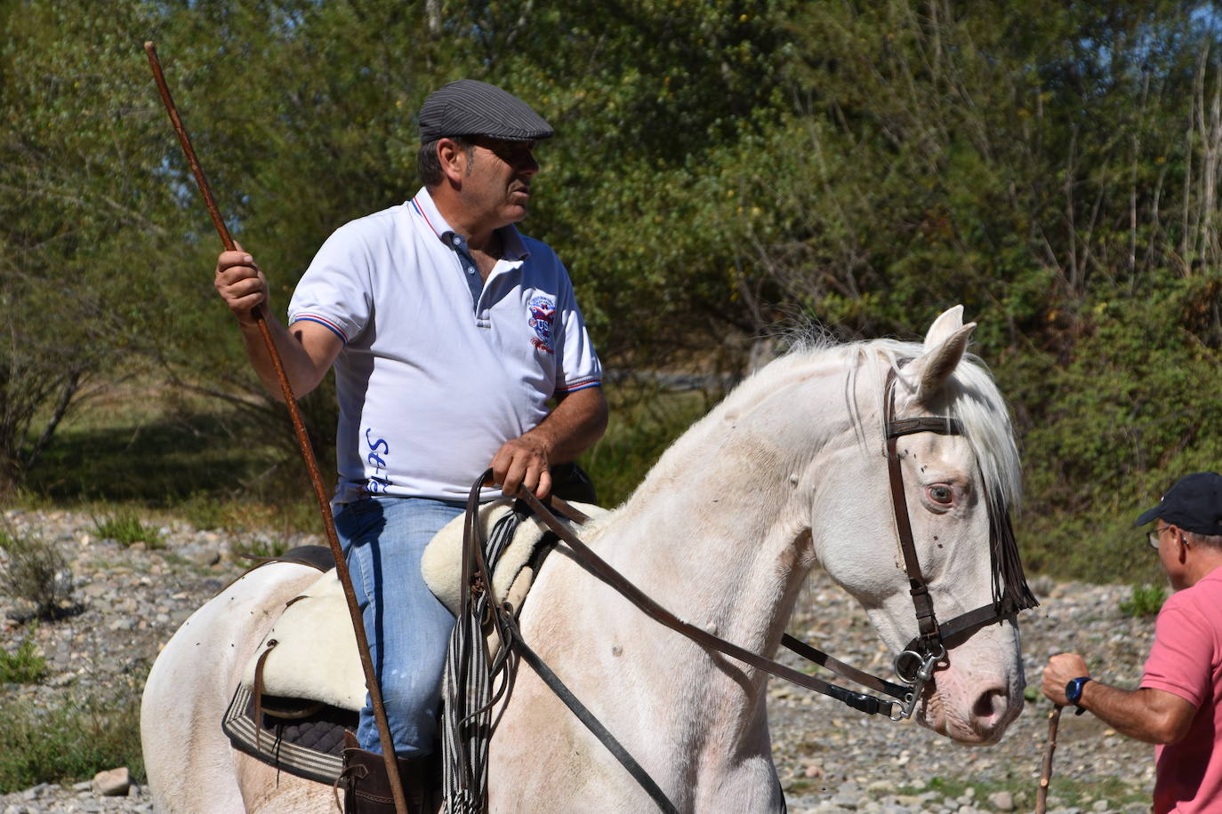 Fotos: La trashumancia se celebra en Rincón de Olivedo