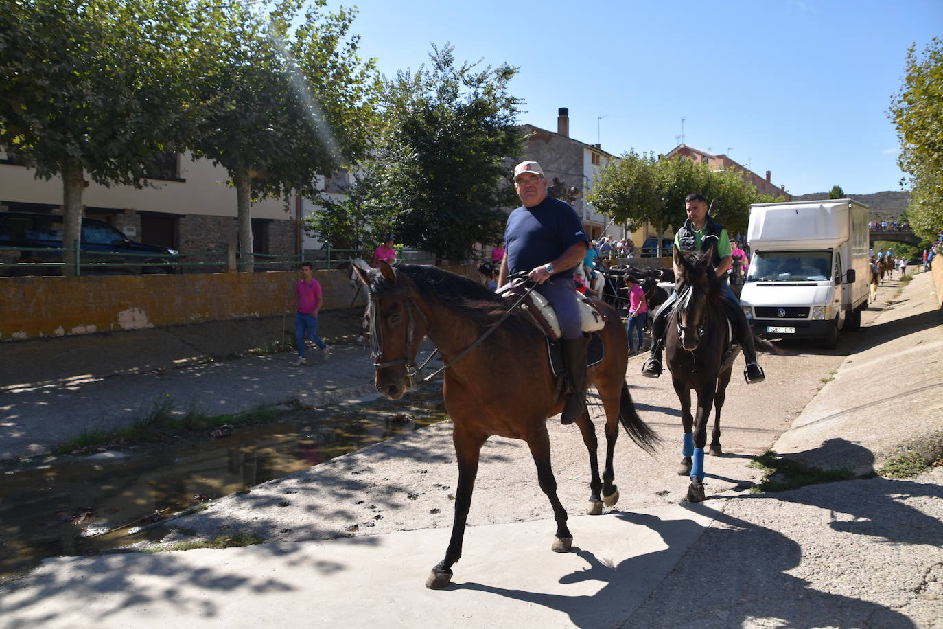 Fotos: La trashumancia se celebra en Rincón de Olivedo