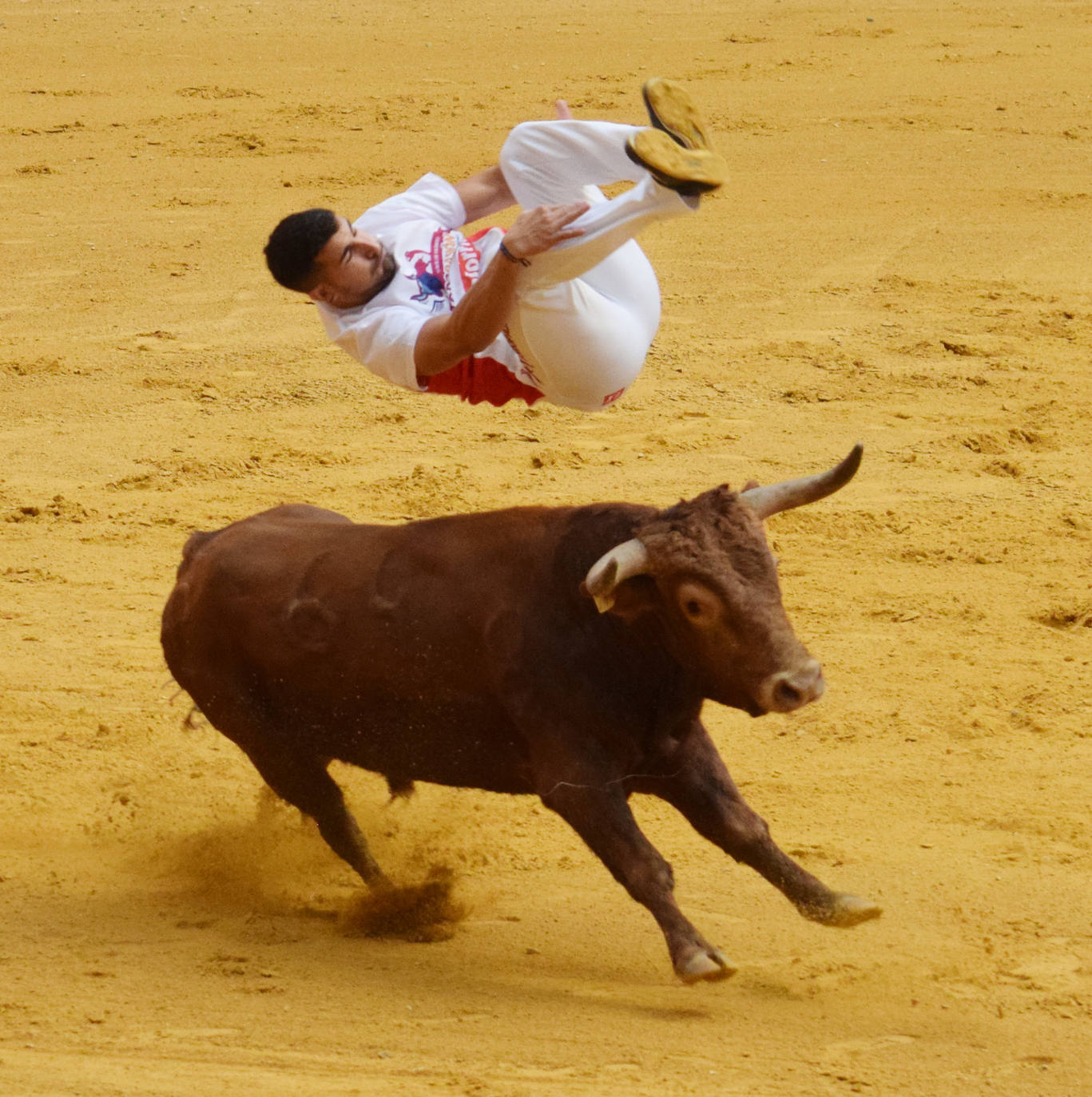 Las vaquillas regresan a Logroño en una suelta limpia y sin heridos