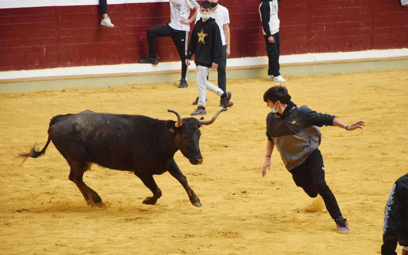 Las vaquillas regresan a Logroño en una suelta limpia y sin heridos