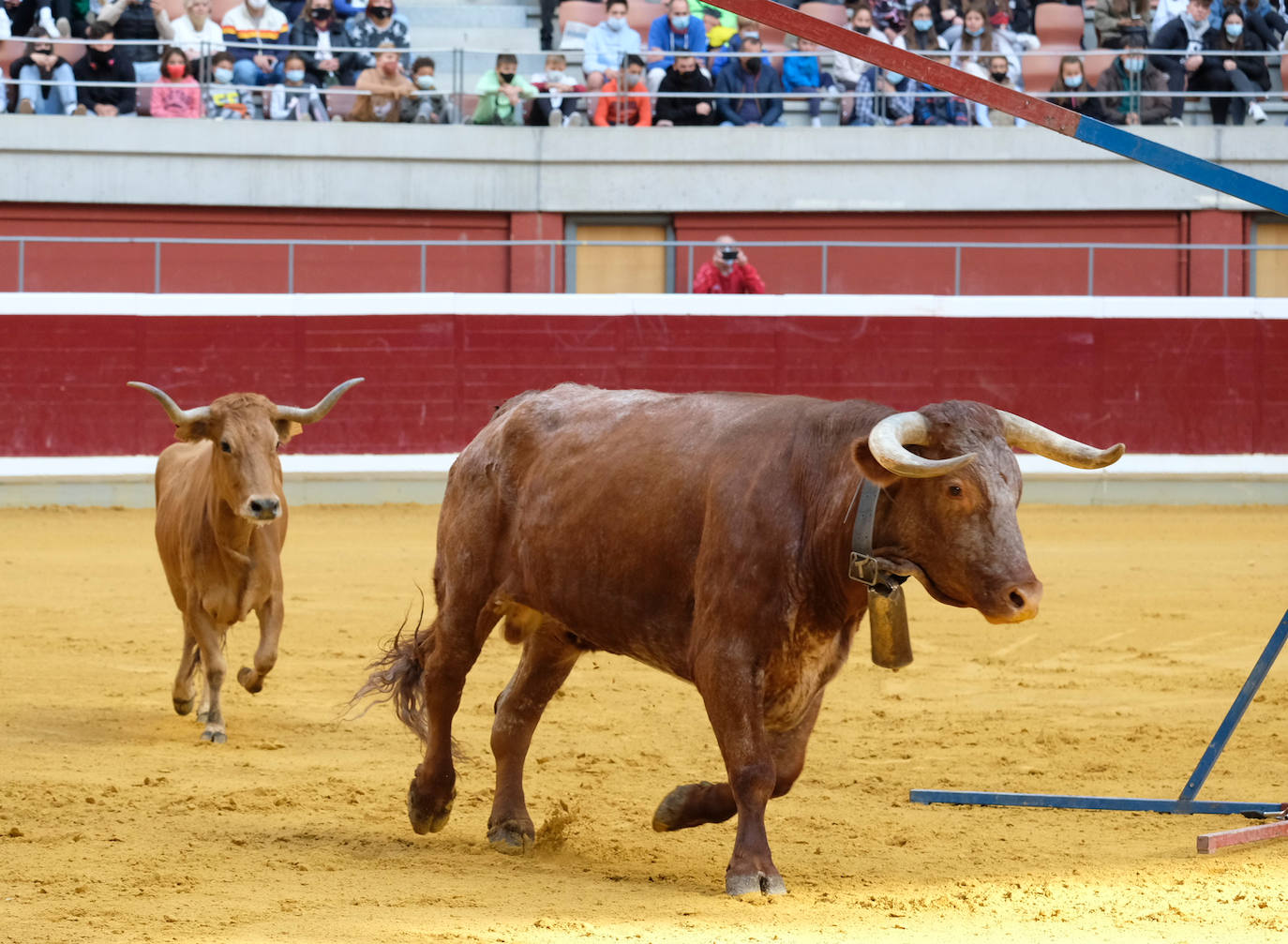 Fotos: Las vaquillas del martes en la Ribera