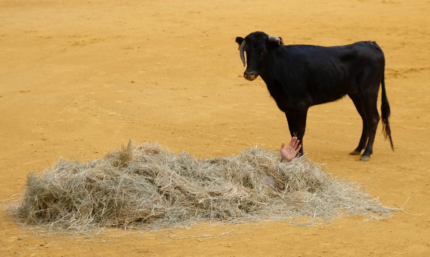 Fotos: Las vaquillas del martes en la Ribera