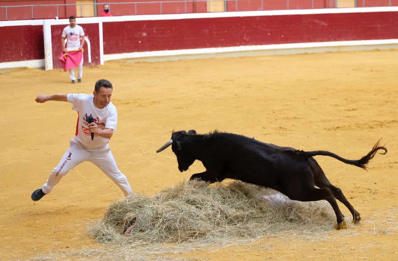 Fotos: Las vaquillas del martes en la Ribera