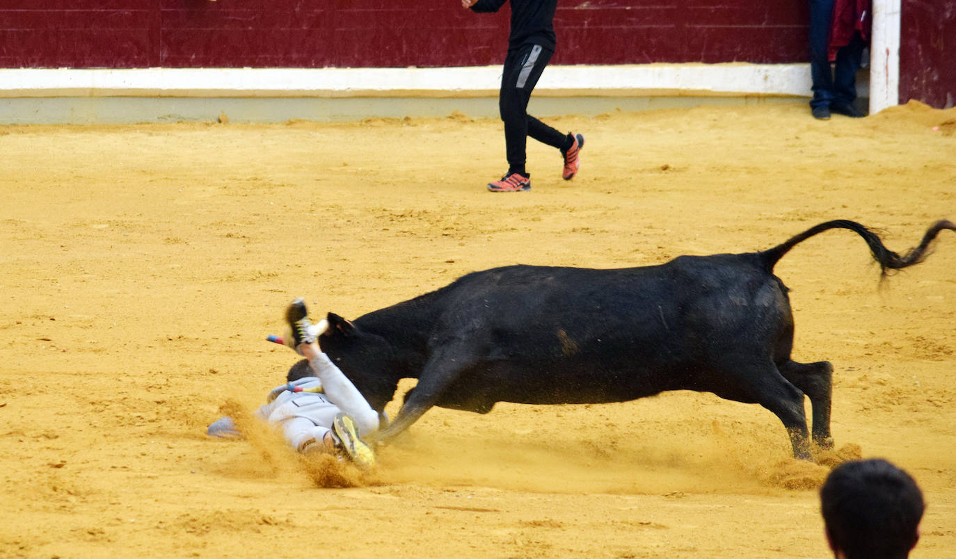 Fotos: Las vaquillas del miércoles en La Ribera