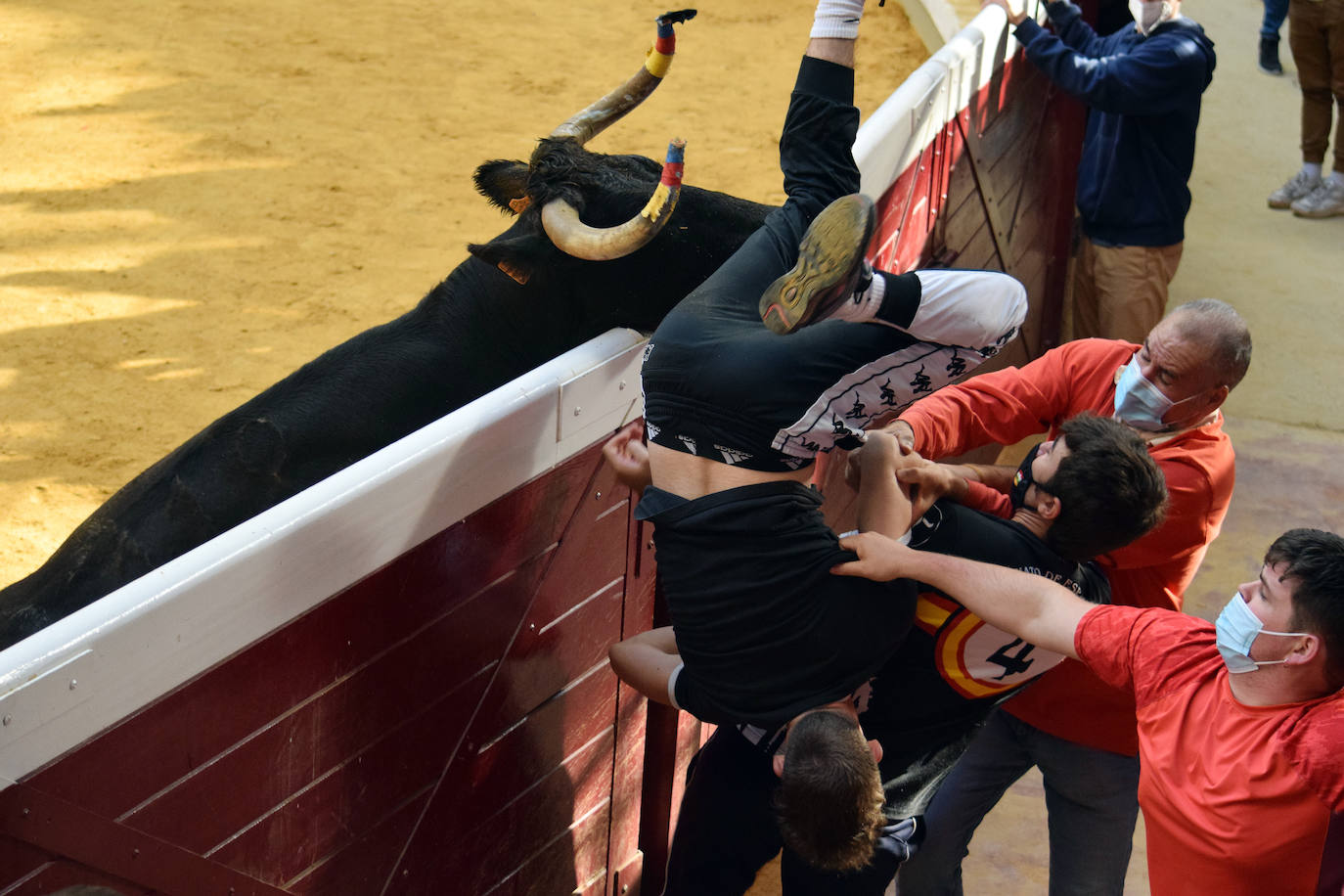 Fotos: Las vaquillas del miércoles en La Ribera