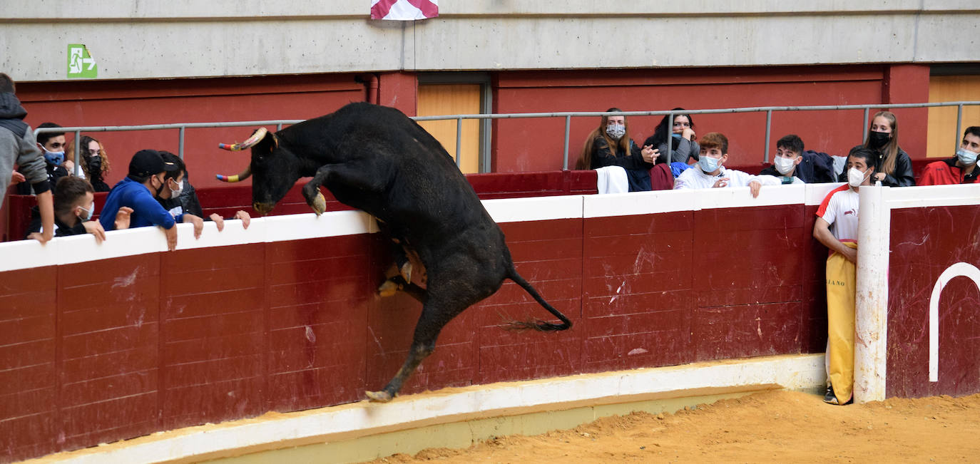 Fotos: Las vaquillas del miércoles en La Ribera