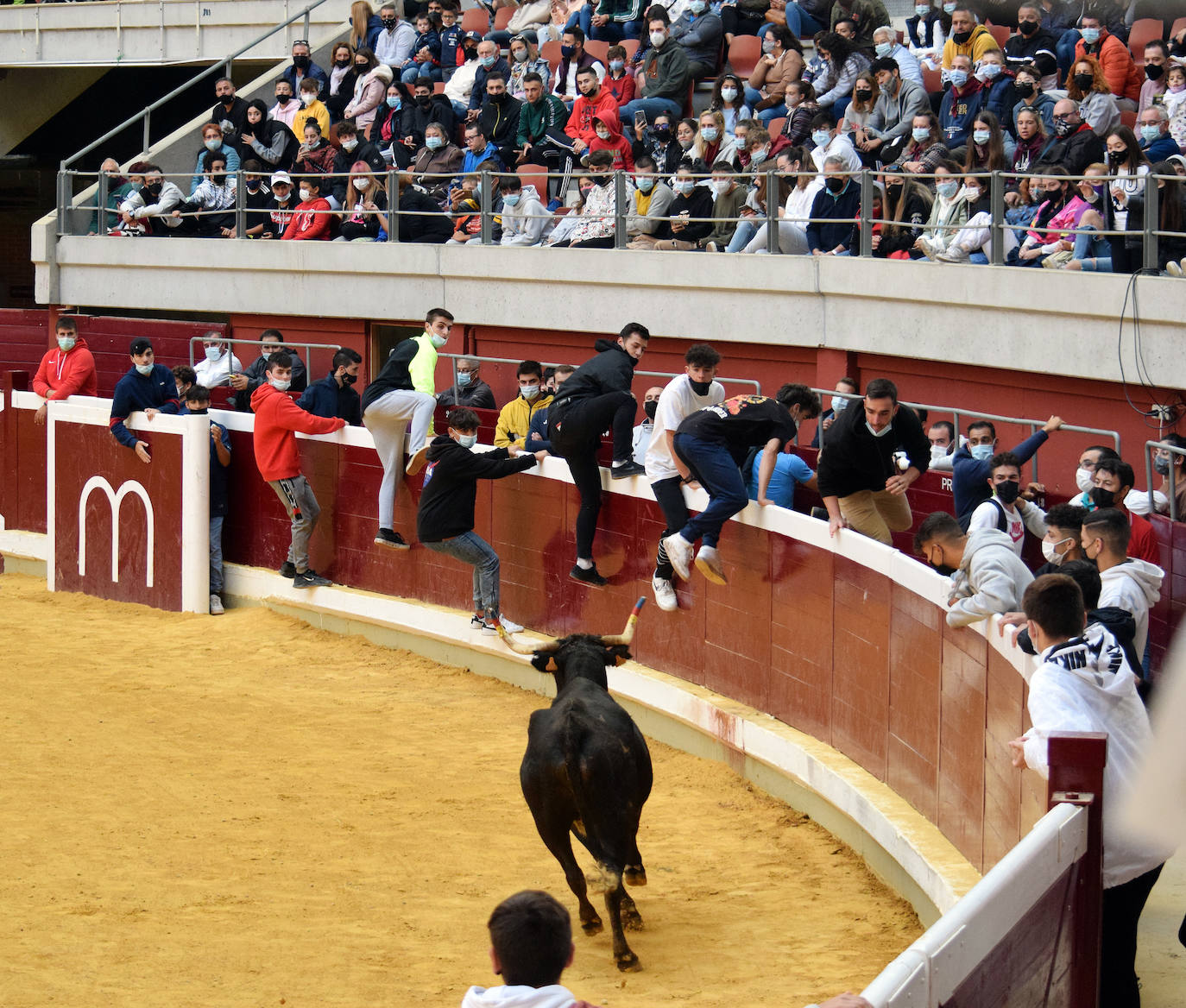 Fotos: Las vaquillas del miércoles en La Ribera