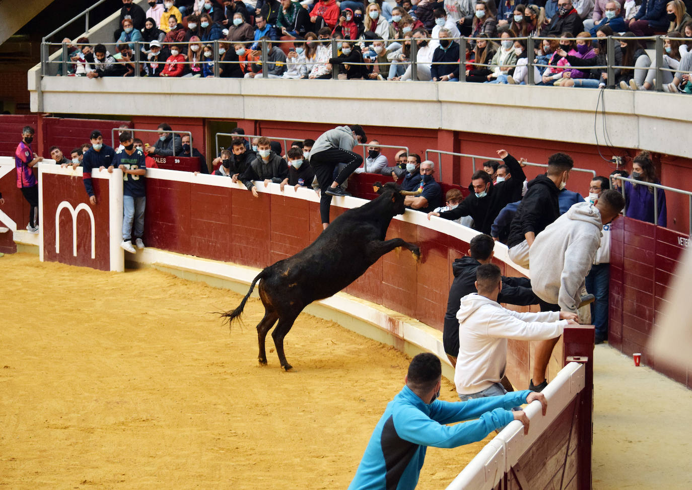 Fotos: Las vaquillas del miércoles en La Ribera