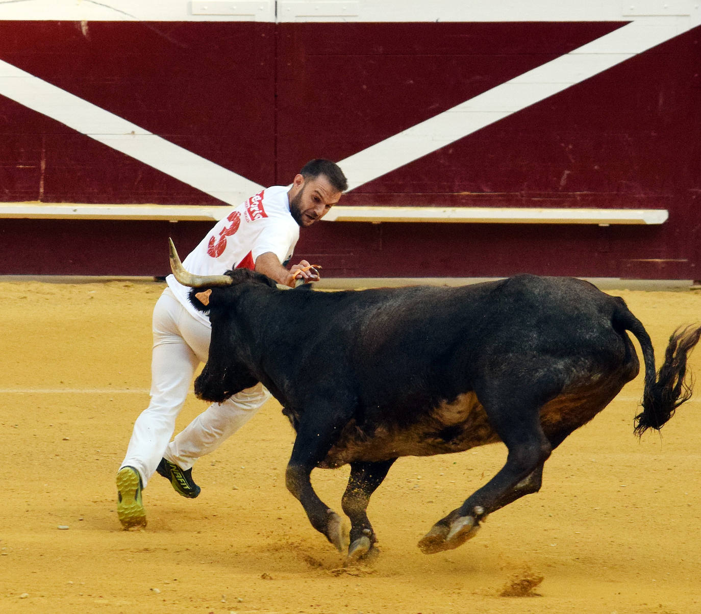 Fotos: Las vaquillas del miércoles en La Ribera