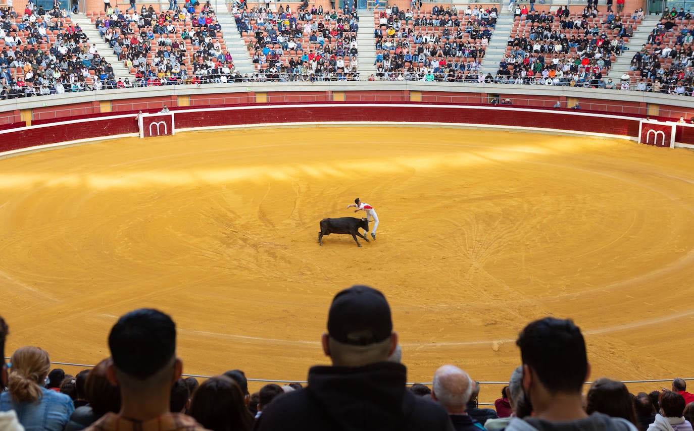 Fotos: Promesas de las acrobacias en La Ribera