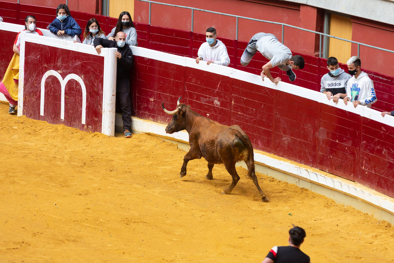 Fotos: Promesas de las acrobacias en La Ribera