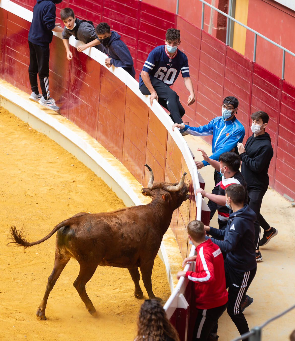 Fotos: Promesas de las acrobacias en La Ribera