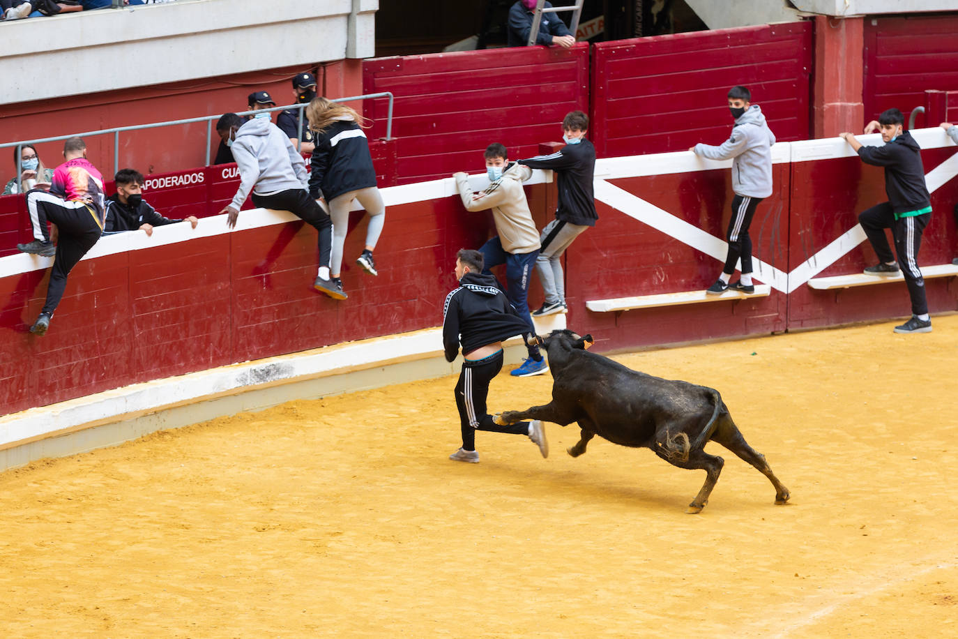 Fotos: Promesas de las acrobacias en La Ribera