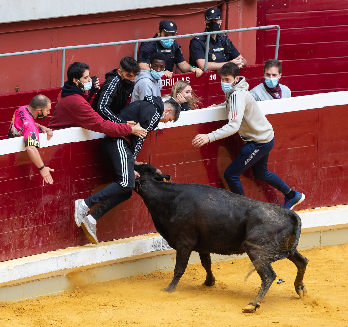 Fotos: Promesas de las acrobacias en La Ribera