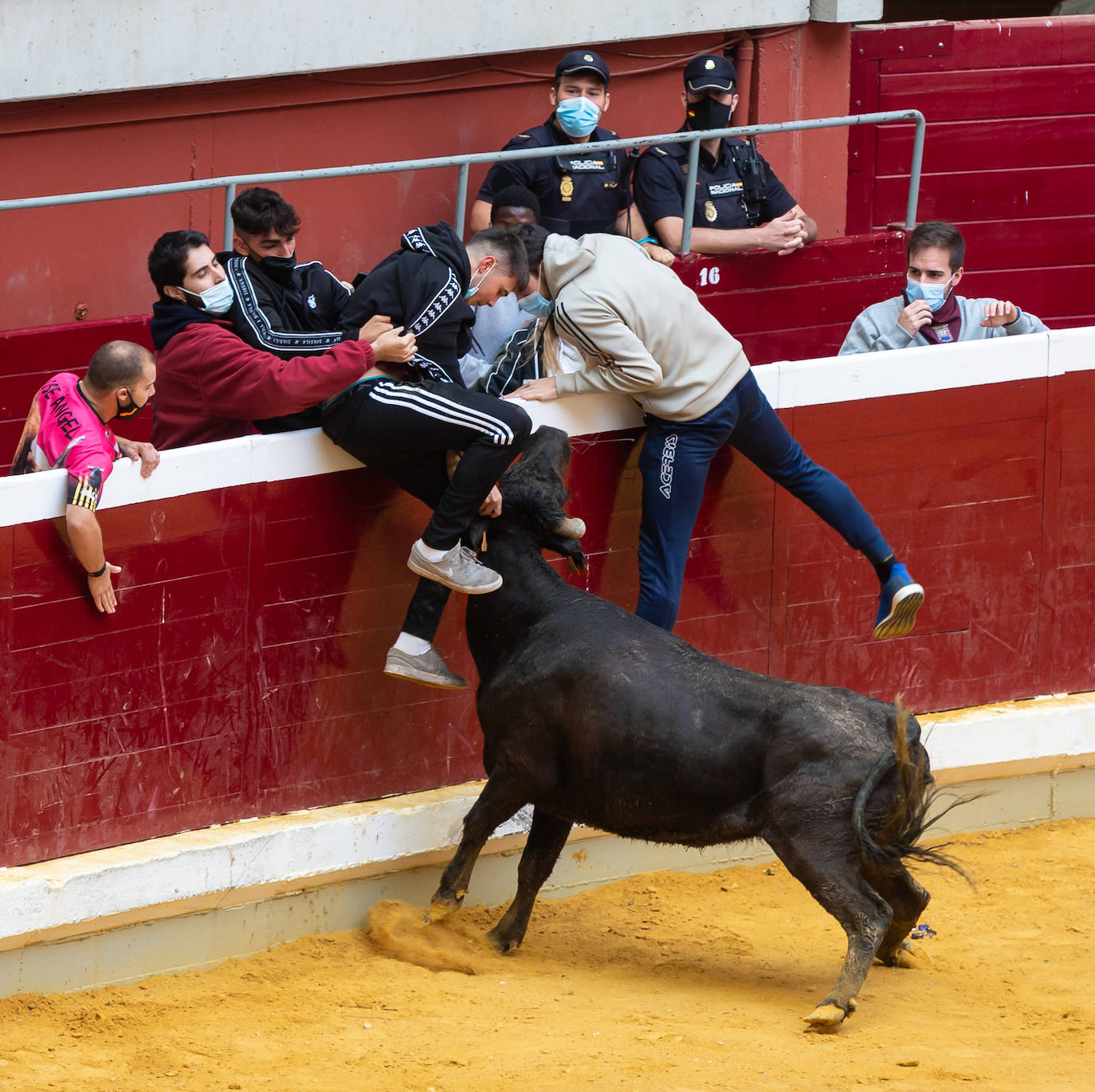 Fotos: Promesas de las acrobacias en La Ribera