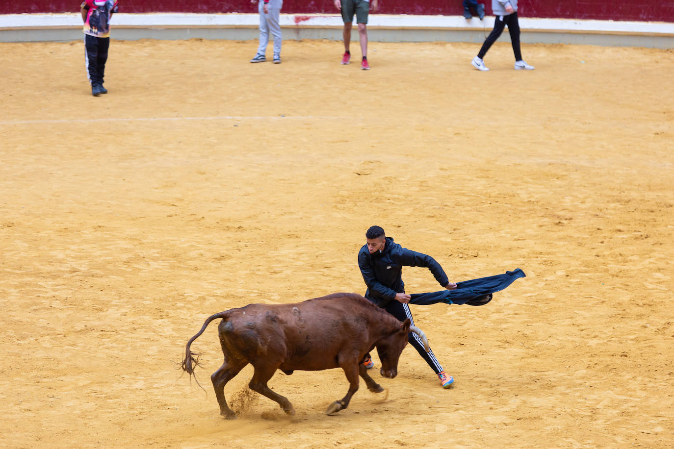 Fotos: Promesas de las acrobacias en La Ribera