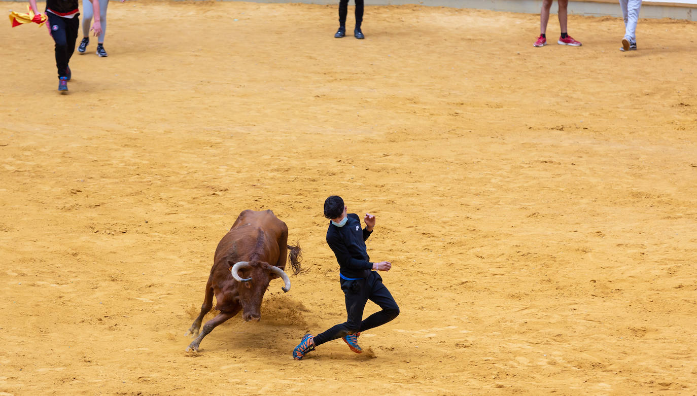 Fotos: Promesas de las acrobacias en La Ribera