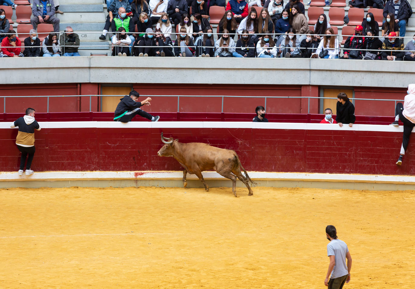 Fotos: Promesas de las acrobacias en La Ribera