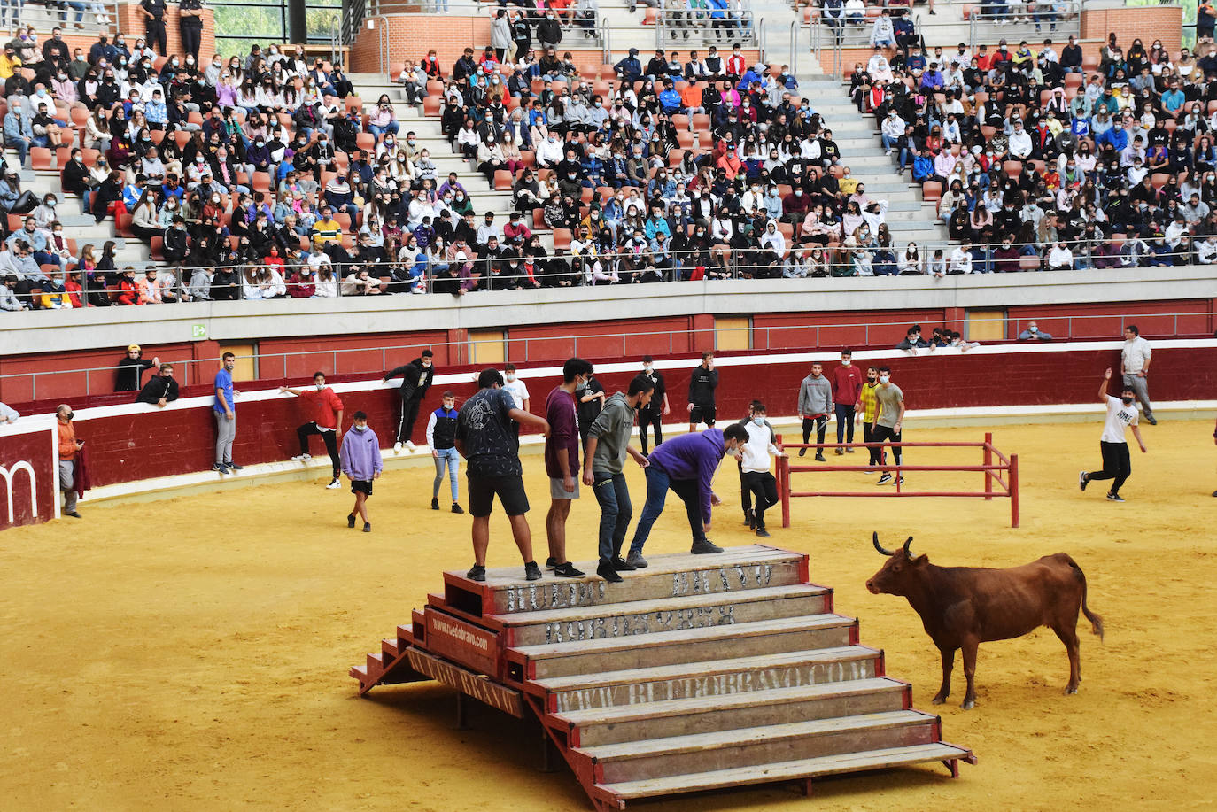 Fotos: Viernes de vaquillas en La Ribera