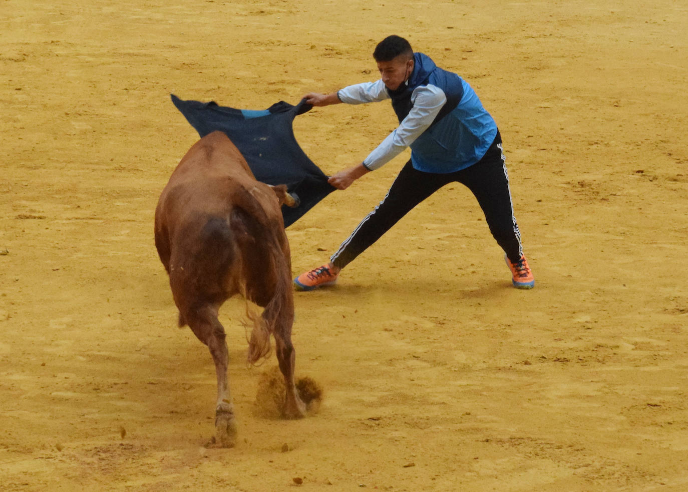 Fotos: Viernes de vaquillas en La Ribera