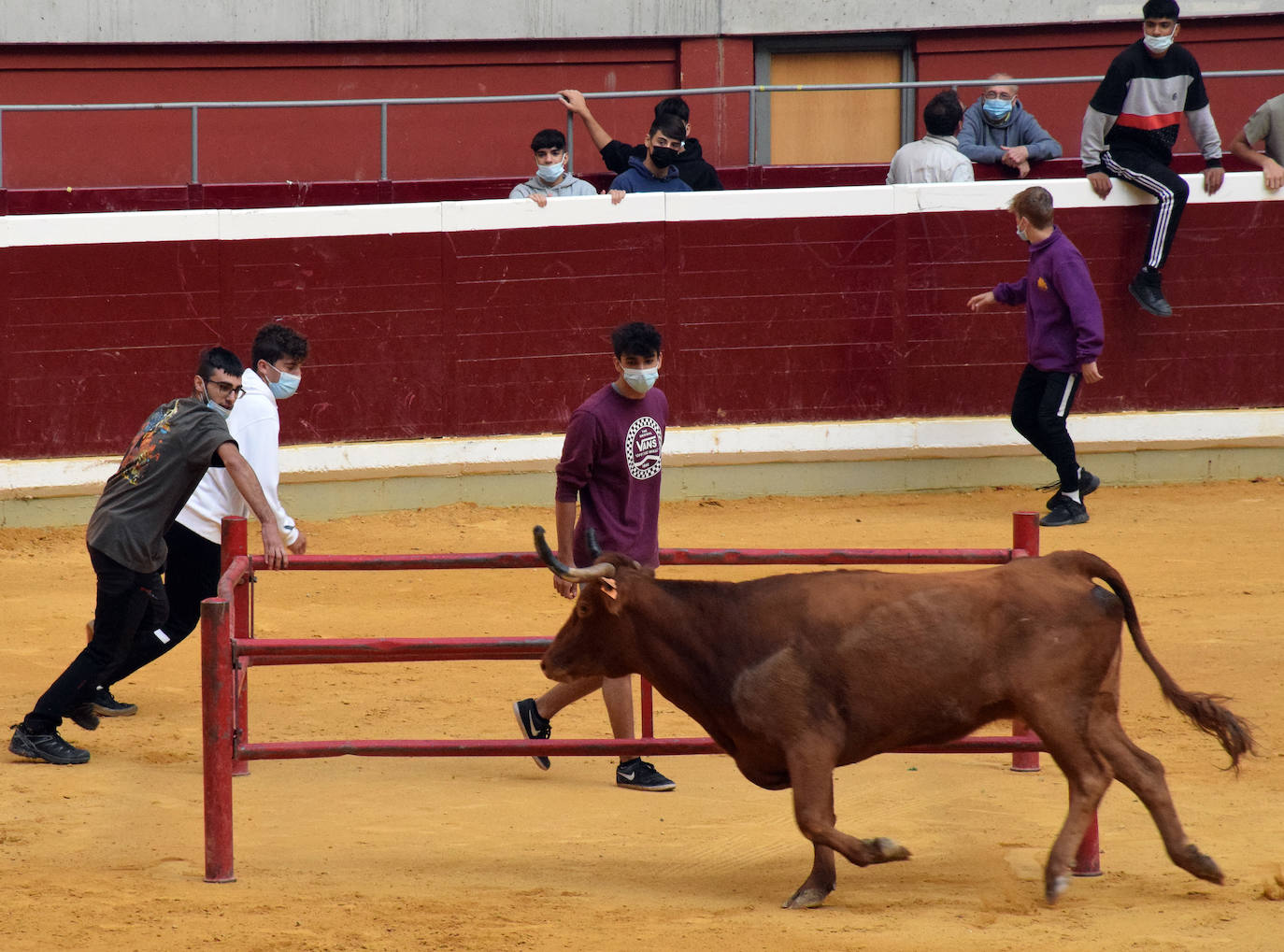 Fotos: Viernes de vaquillas en La Ribera