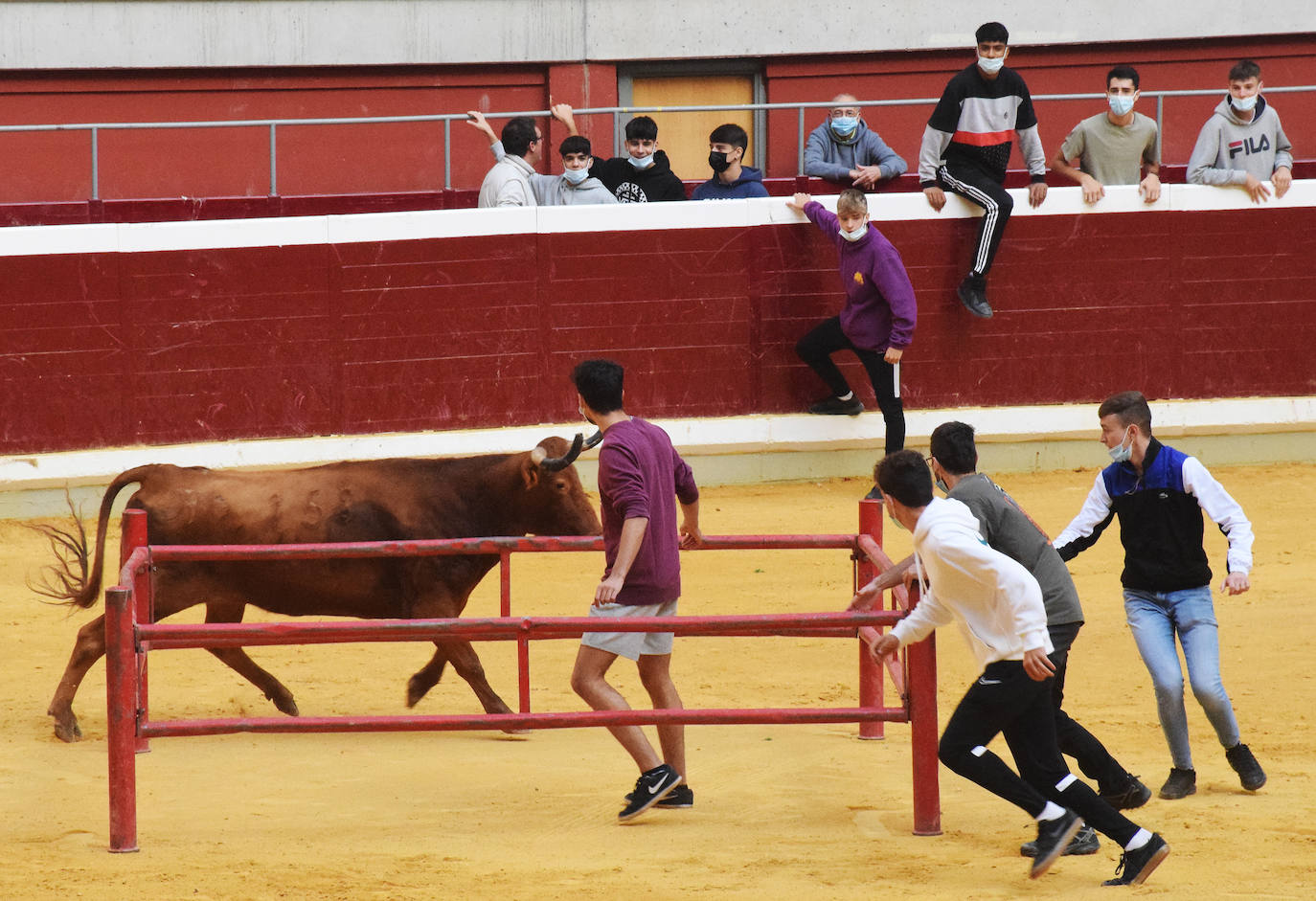 Fotos: Viernes de vaquillas en La Ribera