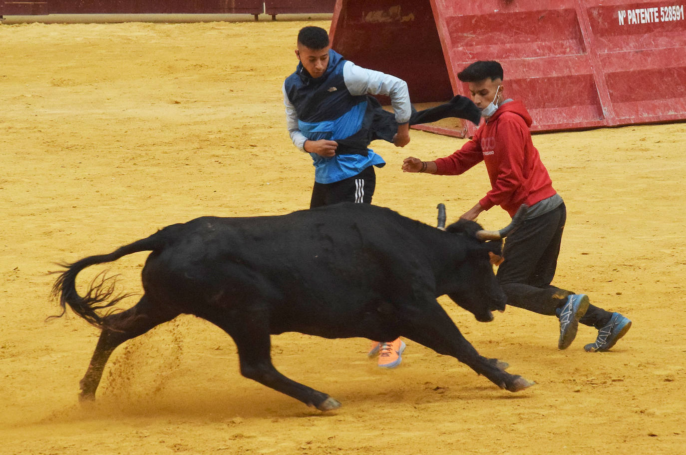 Fotos: Viernes de vaquillas en La Ribera