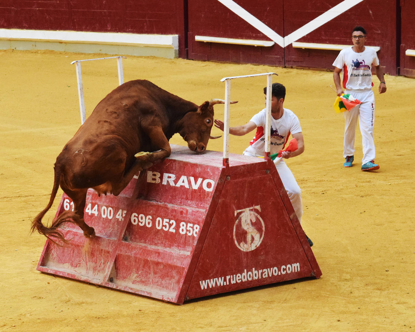 Fotos: Viernes de vaquillas en La Ribera