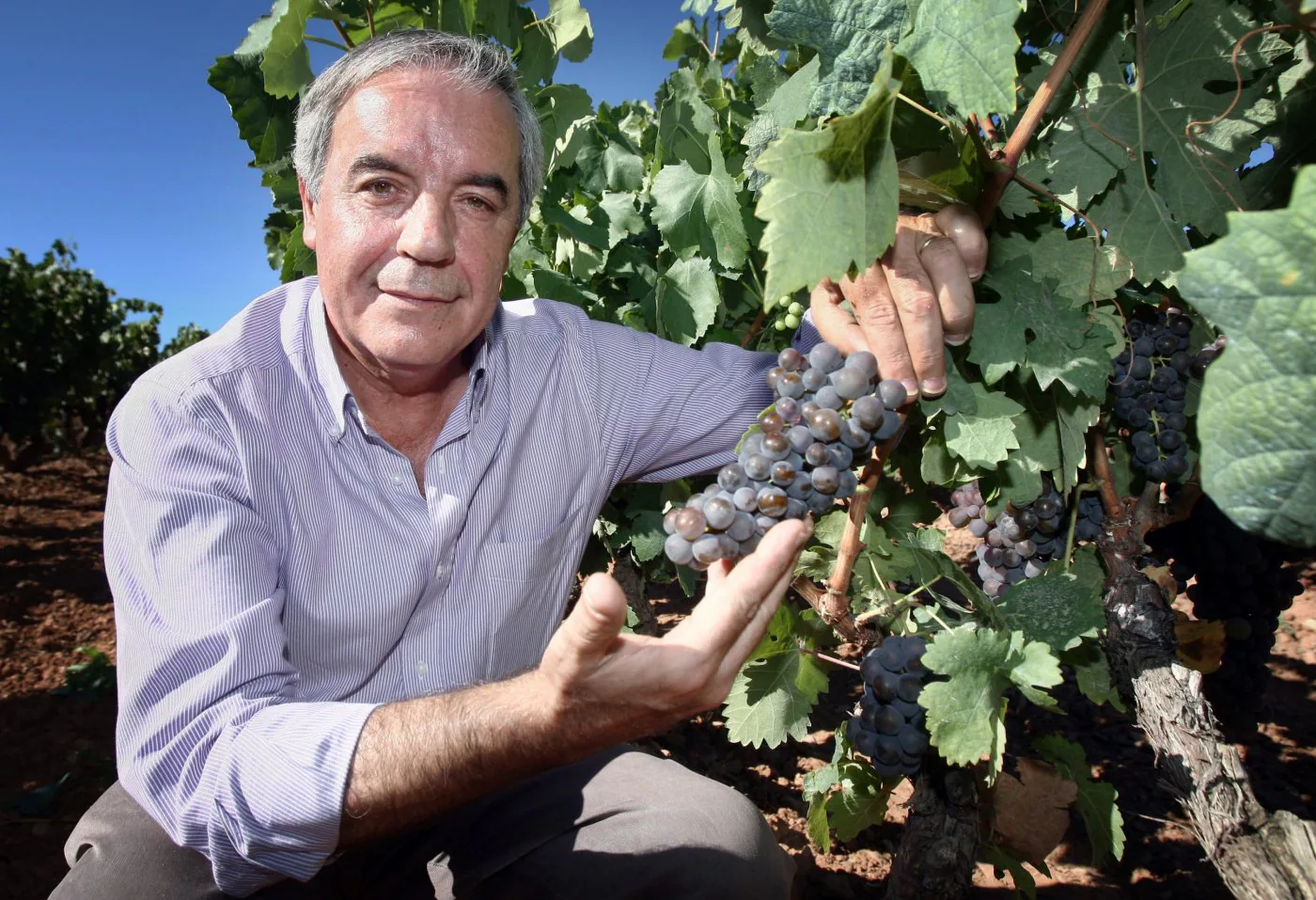 «Rioja trabaja en dos divisiones y la clave es garantizar la convivencia de ambos modelos de viticultura»