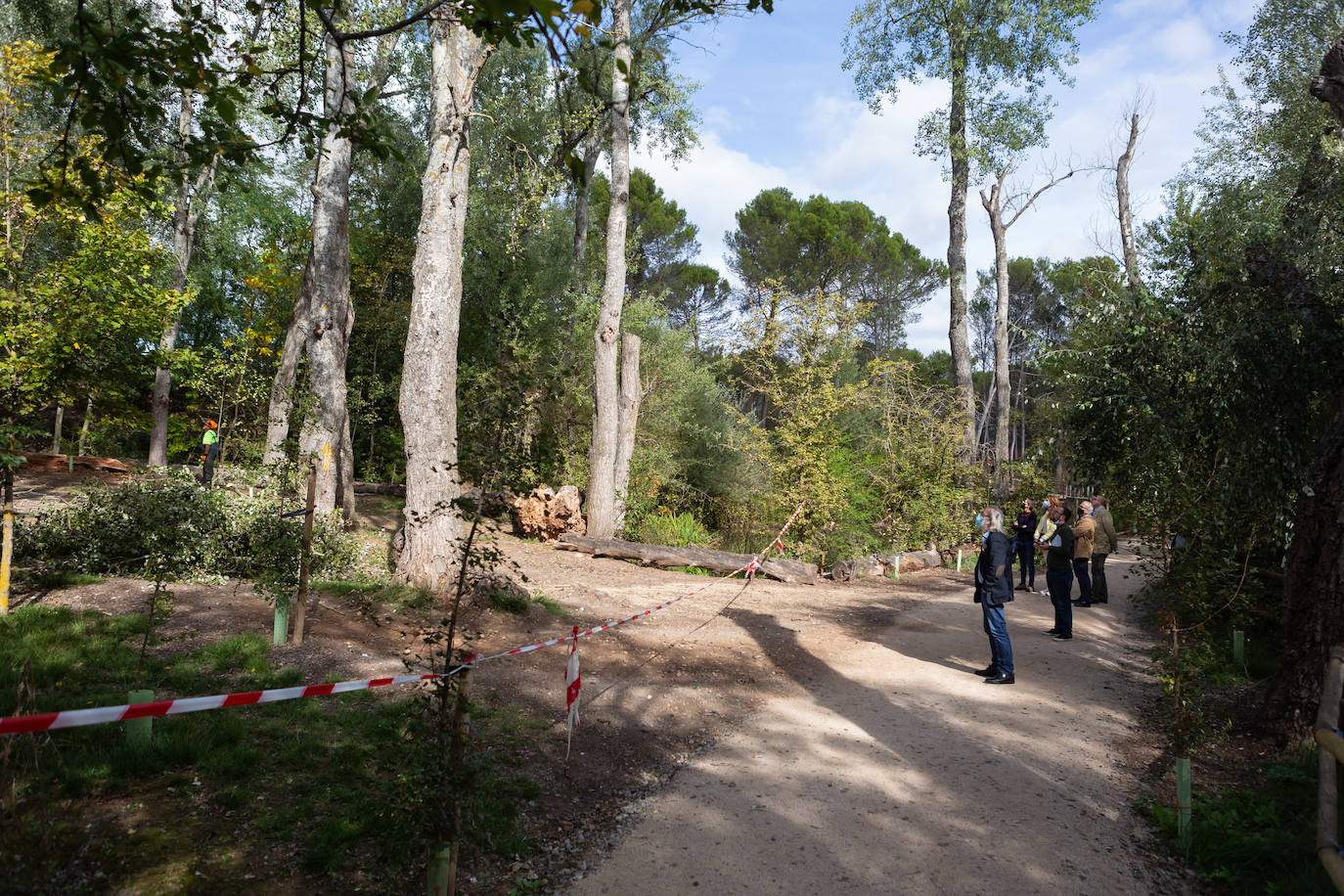 Logroño está saneando una zona arbórea de 1.600 metros cuadrados del parque de La Grajera, delimitada entre el área de asadores, el puente de madera, la pradera que rodea la zona de la cafetería y el Camino de Santiago