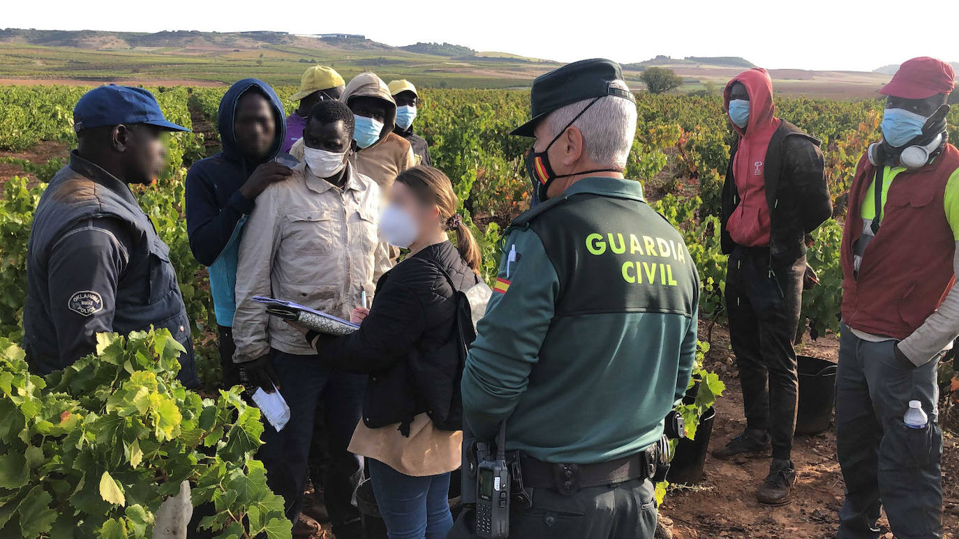 La Guardia Civil en La Rioja intensifica las actuaciones contra la explotación laboral y la trata de personas durante la vendimia.