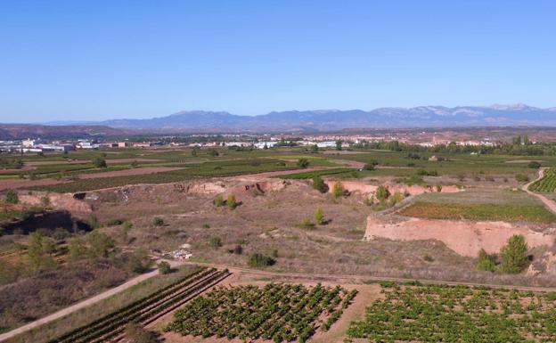 Imagen principal - Arriba, mina a cielo abierto de Uceda, en el término de Tricio, a vista de dron. Abajo, Corte de tierra de la mina, donde ya han hecho nidos los abejarucos y la gravera, que se ha convertido en un vertedero ilegal. 