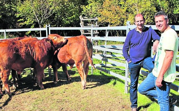 Julio Elías y Gregorio Lázaro posan con los animales adquiridos. 