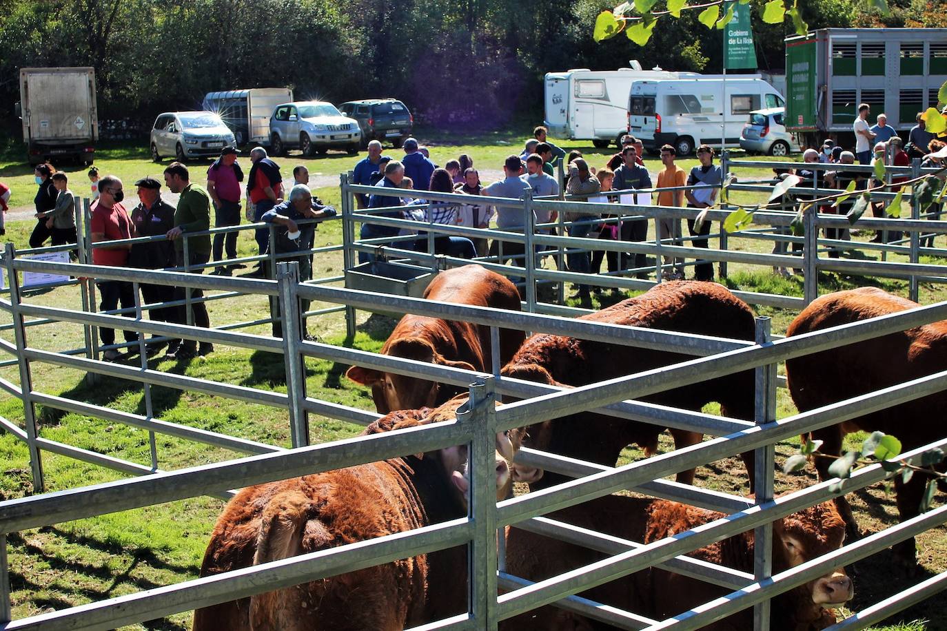 Fotos: Feria de Ganado Selecto del Camero Nuevo