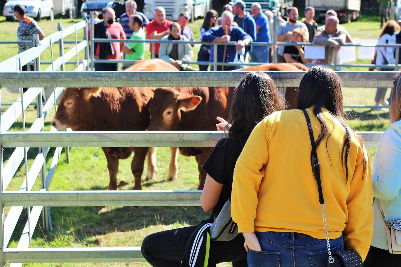 Fotos: Feria de Ganado Selecto del Camero Nuevo