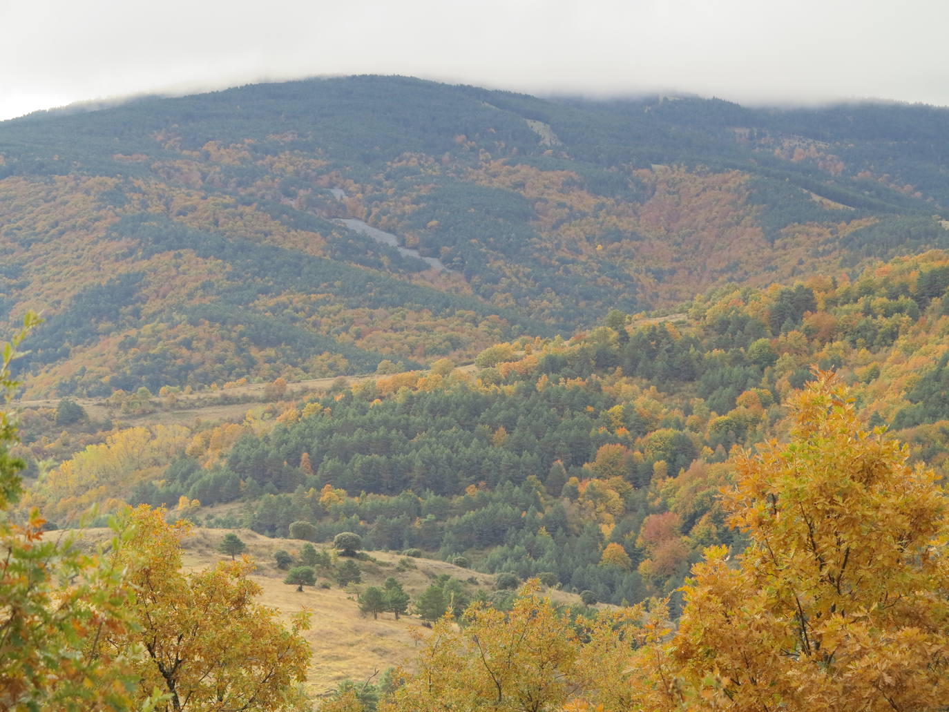 Fotos: El otoño en Los Cameros