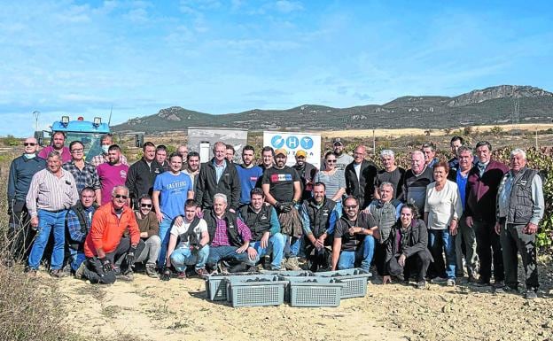 Numerosos chefs y hosteleros acudieron a realizar el último día de vendimia en Bodegas Tarón. 