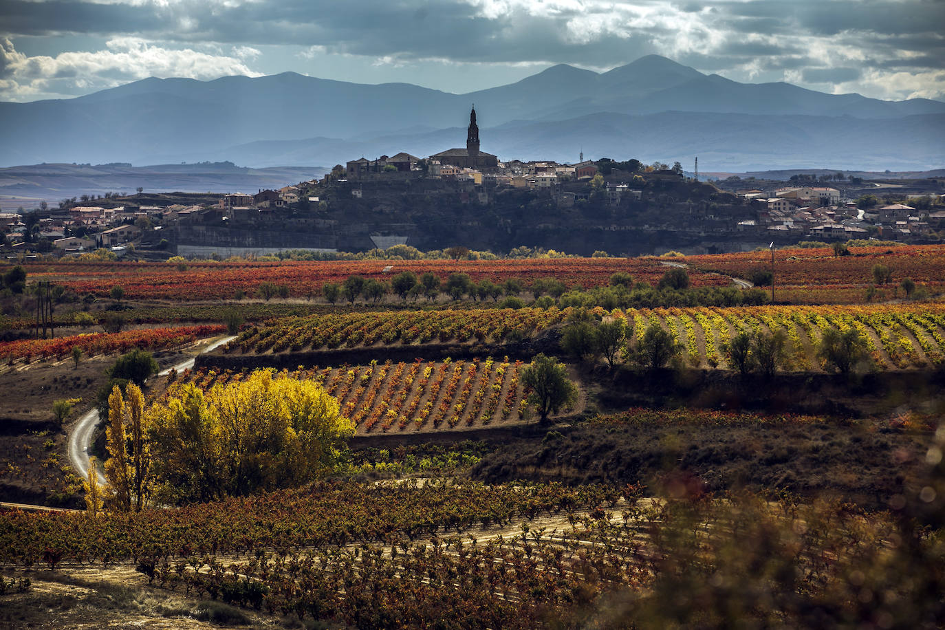 Fotos: El otoño transforma el paisaje de La Rioja