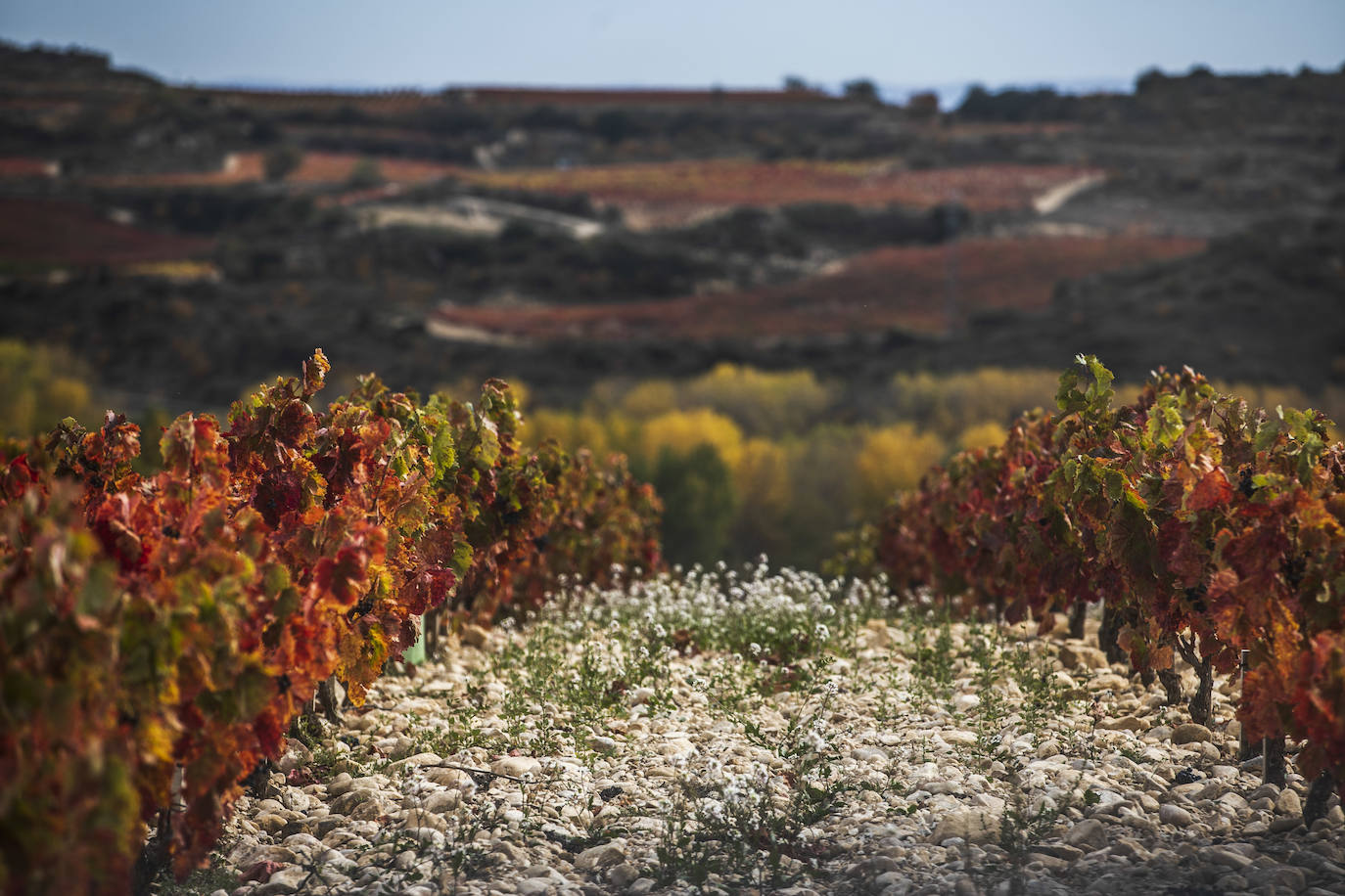 Fotos: El otoño transforma el paisaje de La Rioja