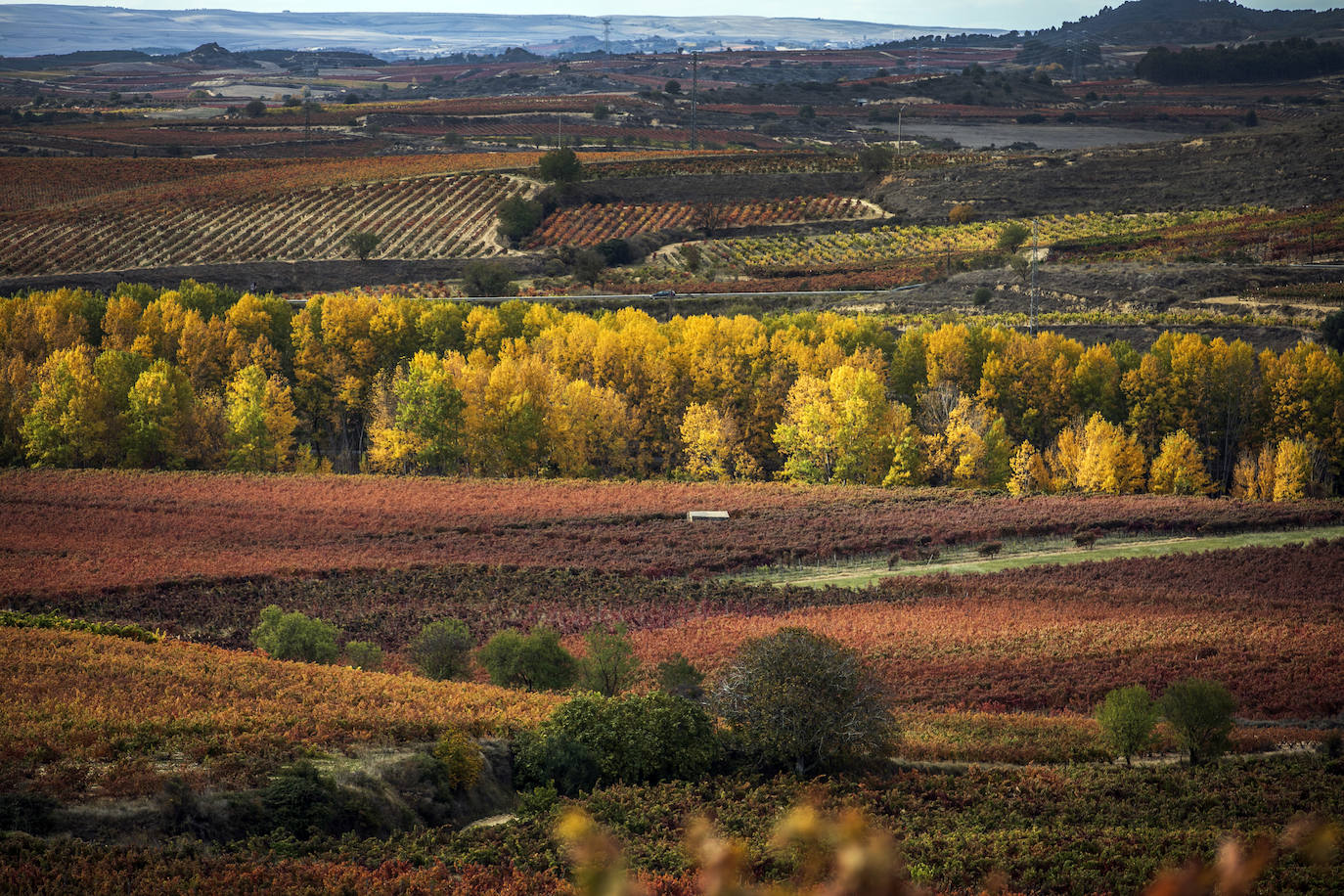 Fotos: El otoño transforma el paisaje de La Rioja