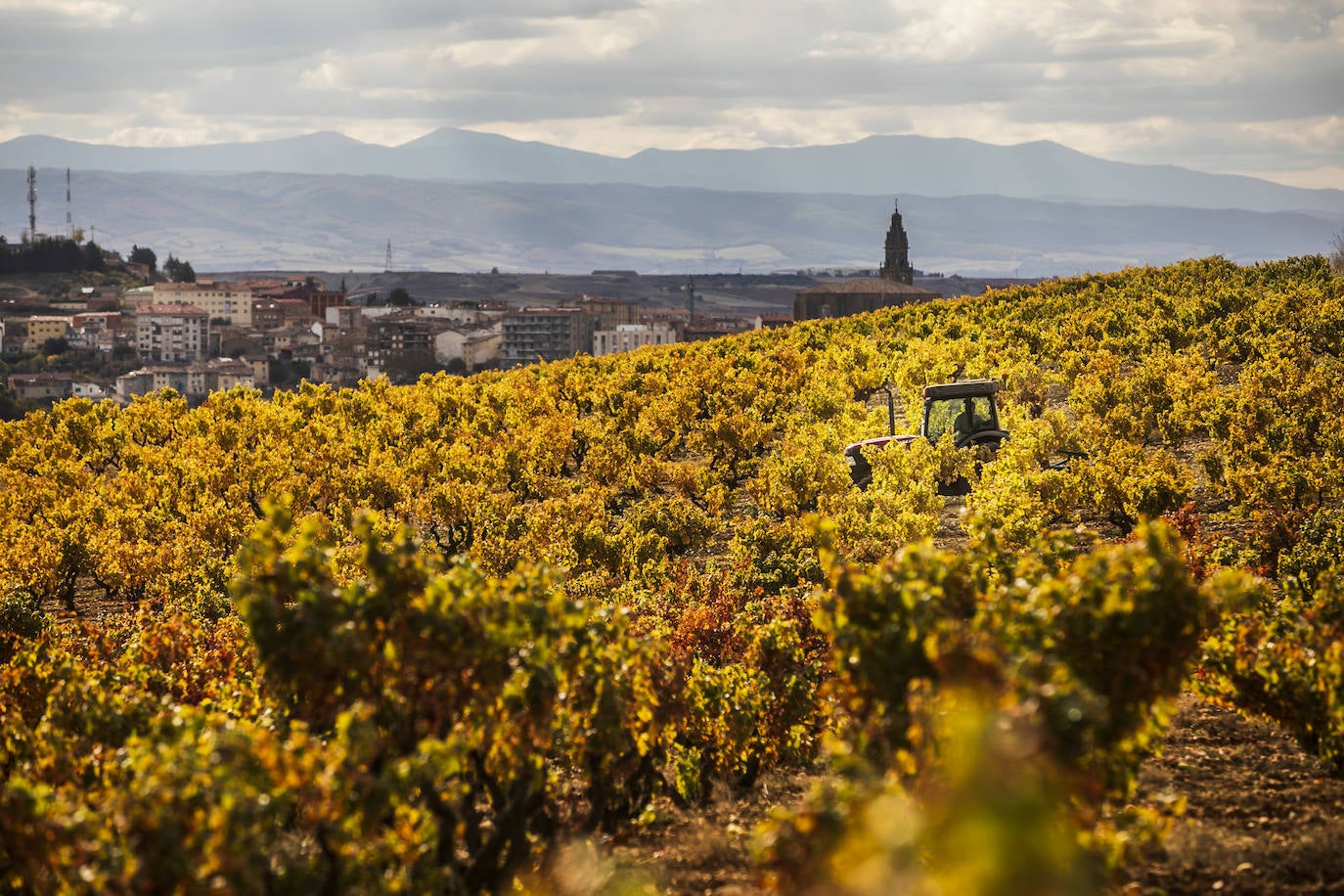 Fotos: El otoño transforma el paisaje de La Rioja