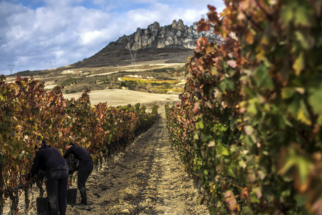 Fotos: El otoño transforma el paisaje de La Rioja