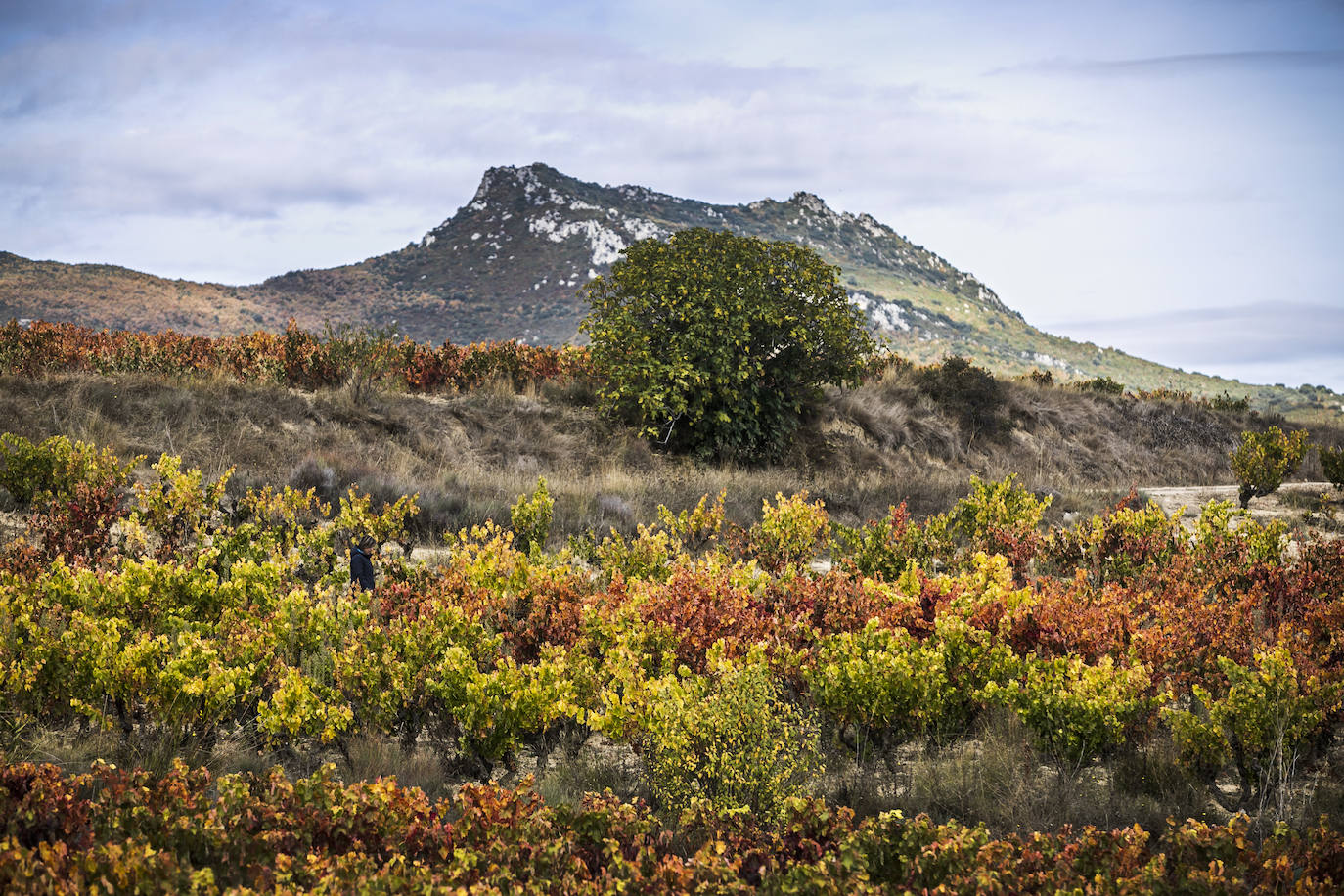 Fotos: El otoño transforma el paisaje de La Rioja