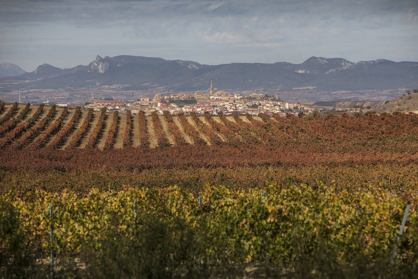 Fotos: El otoño transforma el paisaje de La Rioja