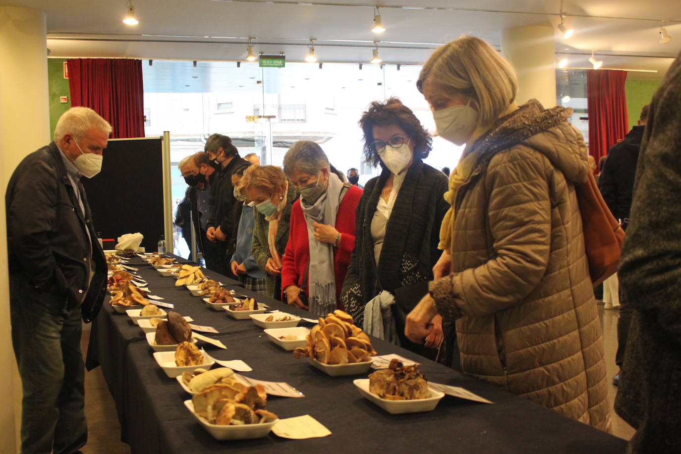 El vestíbulo y el entorno del Teatro Cervantes se han transformado este domingo en embajadas del entorno natural de la ciudad del calzado