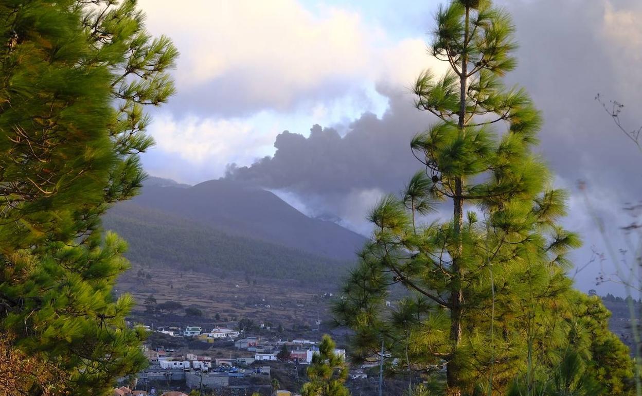 Vista del volcán Cumbre Vieja. 