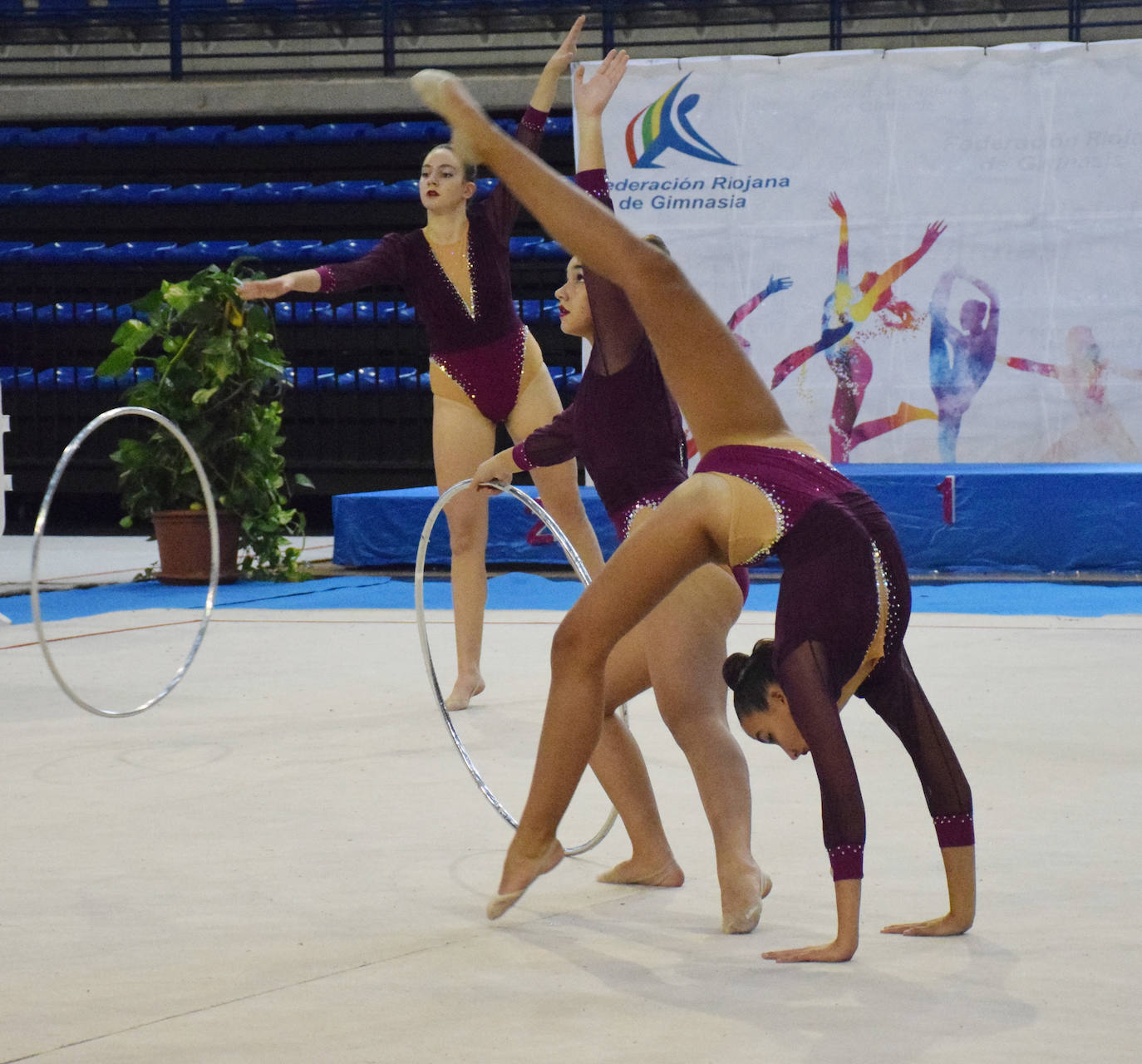 Fotos: Torneo Ciudad de Logroño de gimnasia rítmica