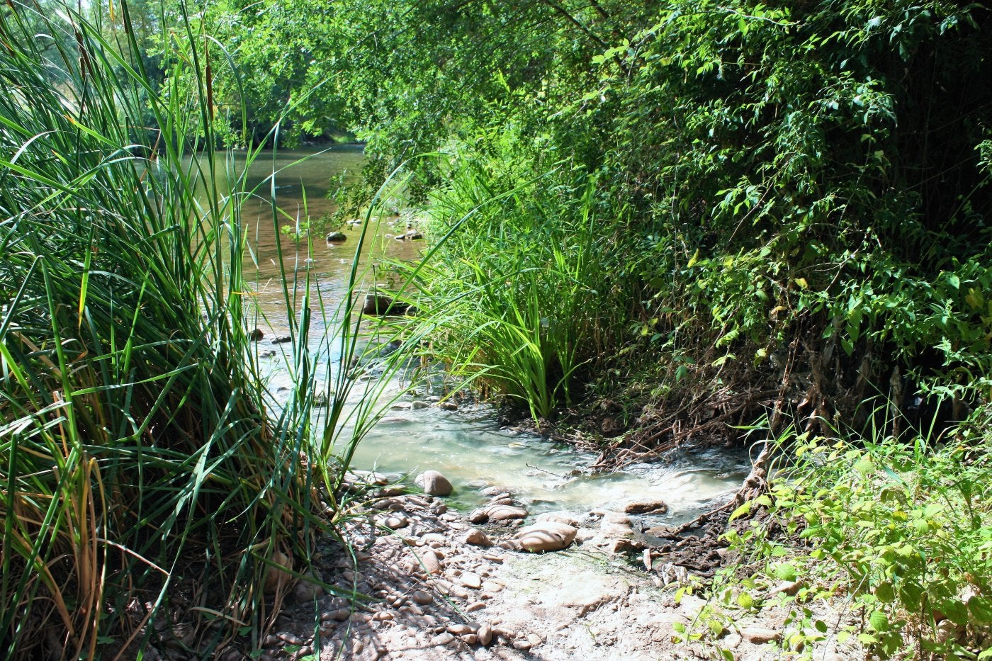 Nájera abona la sanción impuesta por la CHE por vertidos de aguas residuales al río